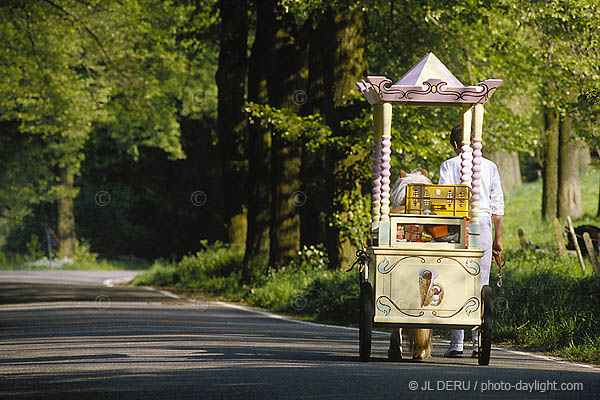 glace - ice-cream